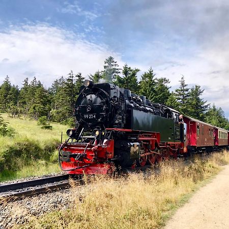 Fewo Schlossblick #Innenstadt #Garten #Netflix Von Harztraveler Wernigerode Zewnętrze zdjęcie