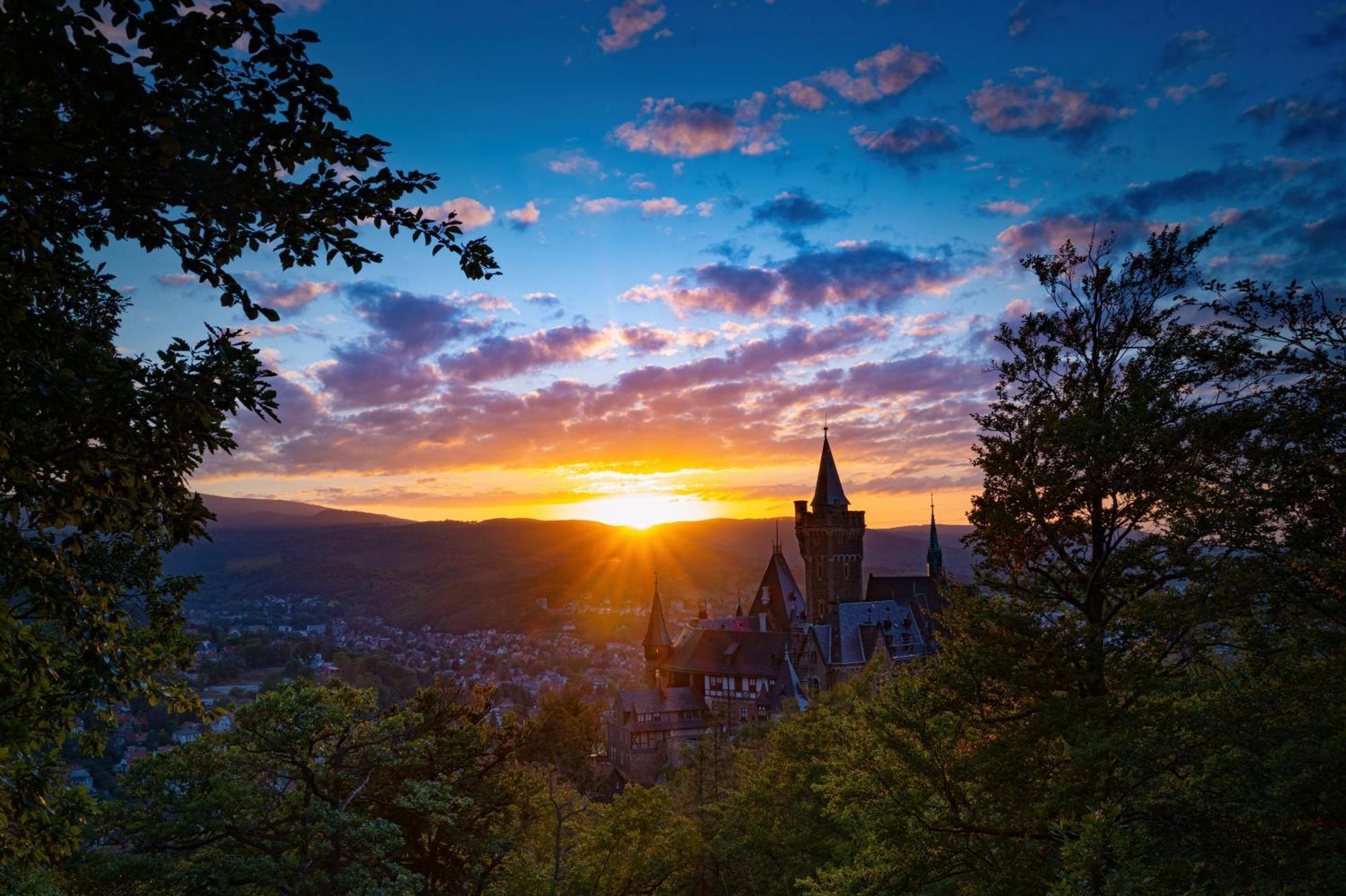 Fewo Schlossblick #Innenstadt #Garten #Netflix Von Harztraveler Wernigerode Zewnętrze zdjęcie